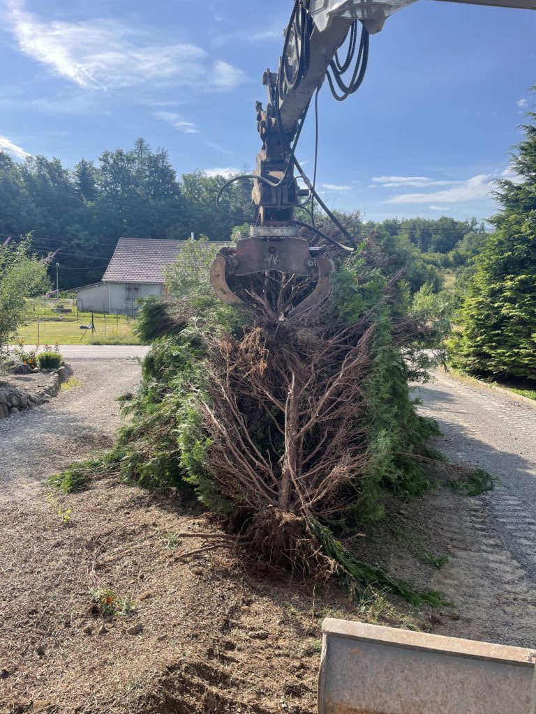 julien-nature-services - engin de chantier qui arrache des thuyas
