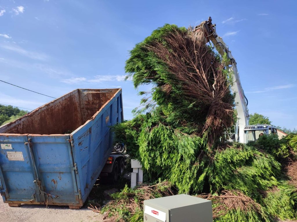julien-nature-services - engin de chantier chargeant un camion benne de thuyas