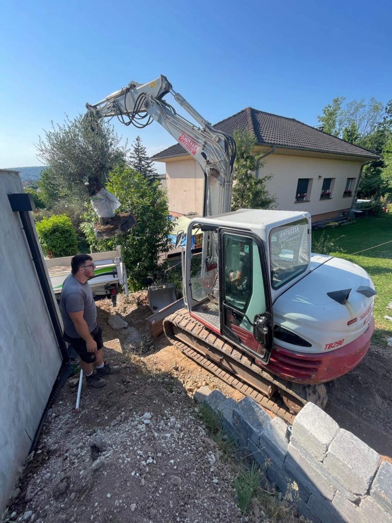 julien-nature-services - engin de chantier soulevant un arbre pour le planter