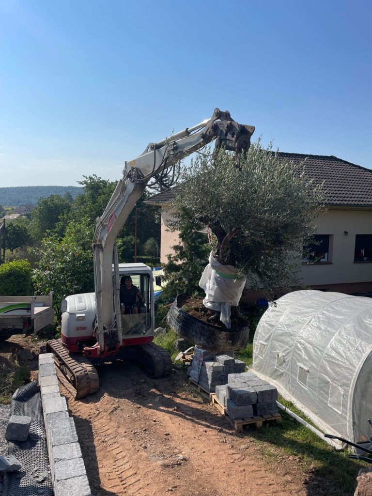 julien-nature-services - engin de chantier soulevant un arbre pour le planter